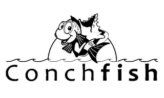 CONCHFISH