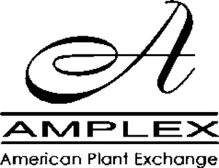 A AMPLEX AMERICAN PLANT EXCHANGE