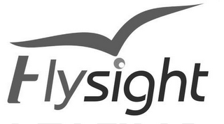 FLYSIGHT