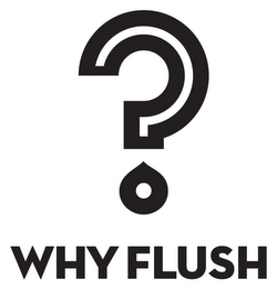 WHY FLUSH