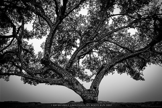 I AM SECURELY GROUNDED, MY ROOTS RUN DEEP. THE BELIEVE IN MYSELF TREE, I SET GOALS, I SEE MYSELF A SUCCESS, I WILL IMPROVE, I FOCUS ON WHAT I CAN CHANGE NOW, I WILL ACCEPT COMPLIMENTS (GRACIOUSLY), I LOVE MYSELF, I AM A POSITIVE PERSON, I WILL NOT QUIT, I AM CONFIDENT, I DON'T FOCUS ON THE DIFFICULTY, I FOCUS ON KNOWING I CAN LEARN, I BELIEVE IN MYSELF