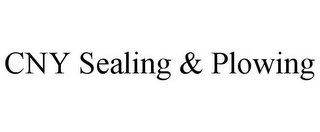 CNY SEALING & PLOWING