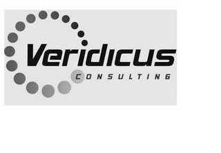 VERIDICUS CONSULTING