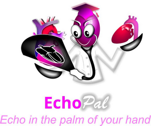 ECHOPAL ECHO IN THE PALM OF YOUR HAND