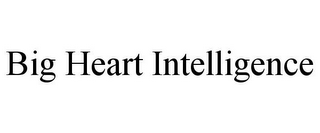 BIG HEART INTELLIGENCE