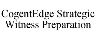 COGENTEDGE STRATEGIC WITNESS PREPARATION