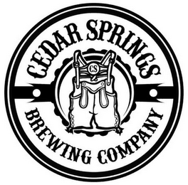 CS CEDAR SPRINGS BREWING COMPANY