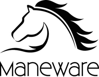 MANEWARE