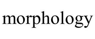 MORPHOLOGY