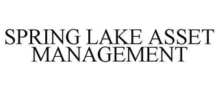 SPRING LAKE ASSET MANAGEMENT