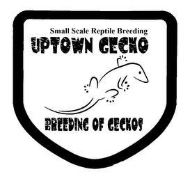 SMALL SCALE REPTILE BREEDING UPTOWN GECKO BREEDING OF GECKOS