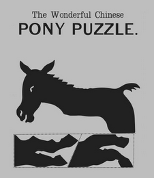 THE WONDERFUL CHINESE PONY PUZZLE.