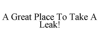 A GREAT PLACE TO TAKE A LEAK!