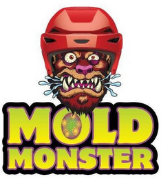 MOLD MONSTER