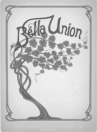 BELLA UNION