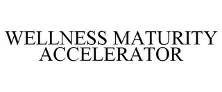 WELLNESS MATURITY ACCELERATOR