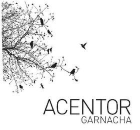 ACENTOR GARNACHA