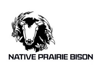 NATIVE PRAIRIE BISON