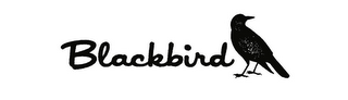 BLACKBIRD