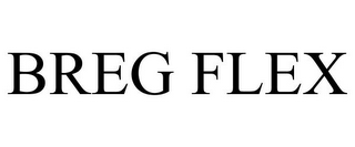 BREG FLEX
