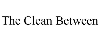 THE CLEAN BETWEEN