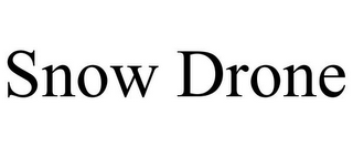 SNOW DRONE