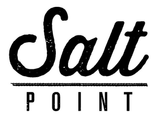 SALT POINT