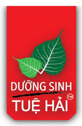 DUONG SINH TUE HAI