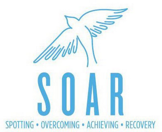 SOAR SPOTTING · OVERCOMING · ACHIEVING · RECOVERY