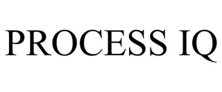 PROCESS IQ