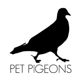 PET PIGEONS