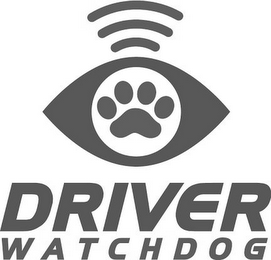 DRIVER WATCHDOG