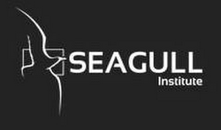 SEAGULL INSTITUTE