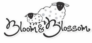 BLOOM & BLOSSOM