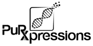 PURXPRESSIONS