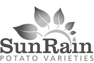 SUNRAIN POTATO VARIETIES