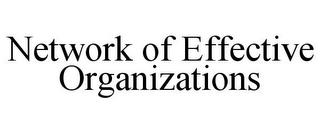 NETWORK OF EFFECTIVE ORGANIZATIONS