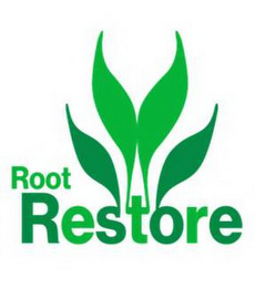 ROOT RESTORE