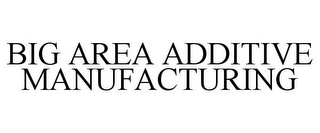 BIG AREA ADDITIVE MANUFACTURING