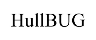 HULLBUG