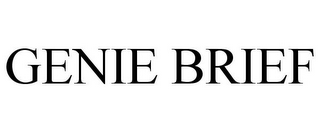 GENIE BRIEF