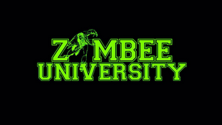 Z MBEE UNIVERSITY