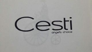 CESTI ANGEL'S CHOICE