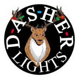 D-A-S-H-E-R LIGHTS