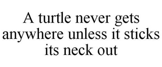 A TURTLE NEVER GETS ANYWHERE UNLESS IT STICKS ITS NECK OUT