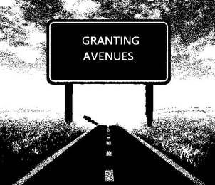 GRANTING AVENUES