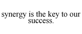 SYNERGY IS THE KEY TO OUR SUCCESS.