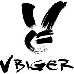 VBG VBIGER