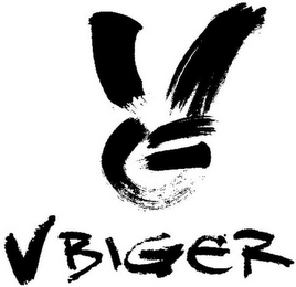 VBG VBIGER