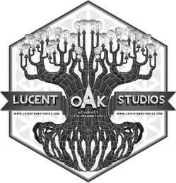 LUCENT OAK STUDIOS WWW.LUCENTOAKSTUDIOS.COM WE HARVEST THE IMAGINATION!
